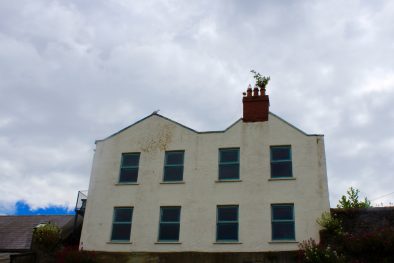 IMG_0918