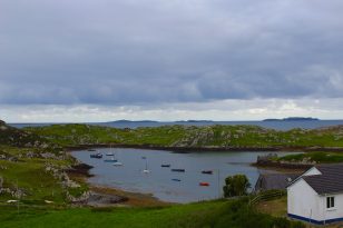 IMG_1145